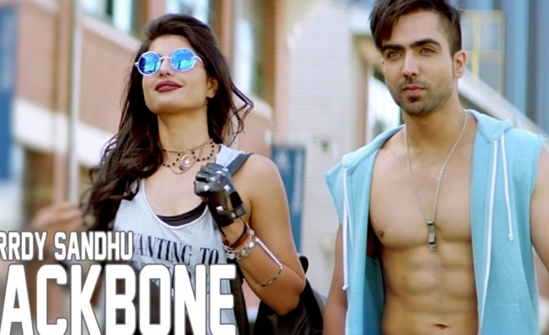 Who is Hardy Sandhu Wife? The Multifaceted Indian Singer and Actor
